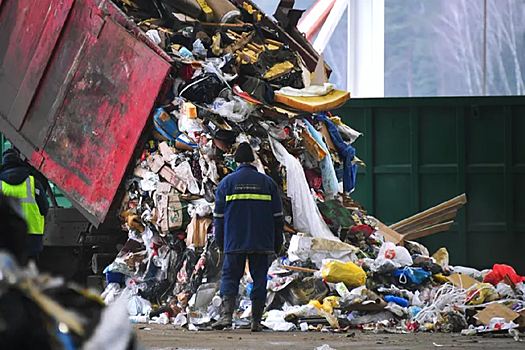 Стало известно, какой мусор нельзя выкидывать в контейнер у дома