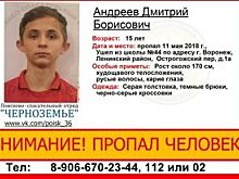 Волонтеры попросили помощи в розыске двух школьников из Воронежа
