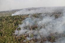 В Астраханской области выгорело более 17 га земель