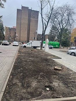 &laquo;Центр &ndash; как сковородка&raquo;: ростовчане пожаловались на спил деревьев в переулке Университетском