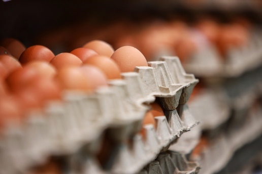 В Калининградской области на Пасху пообещали снизить цены на яйца
