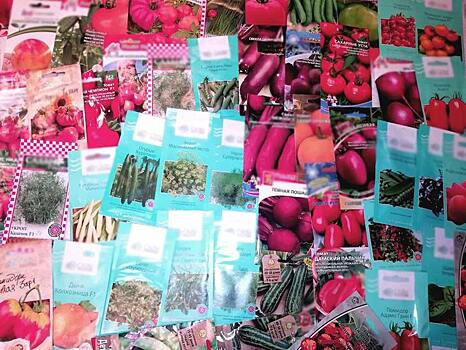 Секреты пакетированных семян: как не купить «пустышку» в красивой упаковке