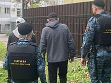 В Брянске приставы задержали неправильных «пчёл», которые искали «мёд»