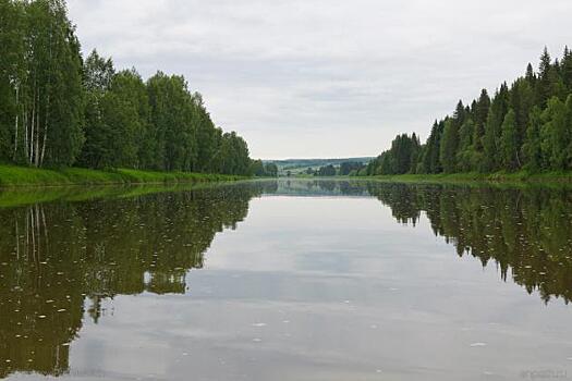 Село на Сахалине защитят от затопления
