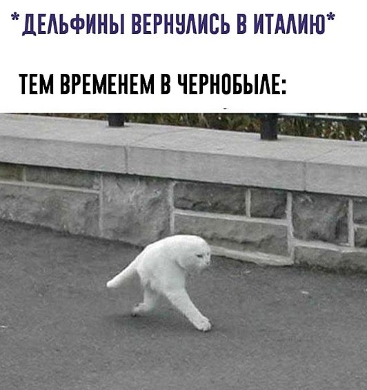 Шутки про аномалии в Чернобыле никогда не закончатся.
