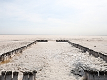 21 февраля рельсовый автобус отвезет волгоградцев на Эльтон