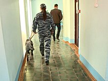 В Пензе в студенческом общежитии устроили проверку на наркотики