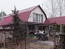 Психолог Линькова о богородском маньяке: Няни часто подвергаются насилию