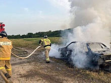 Ребенок сгорел в машине в Адыгее, пока его родители собирали клубнику
