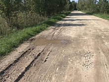 Туристы игнорируют Сумароковскую лосеферму из-за ужасной дороги