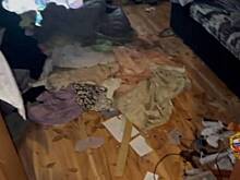 Женщина организовала наркопритон в своей квартире на западе Москвы