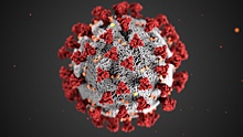 В ВОЗ предупредили о трех месяцах пандемии коронавируса
