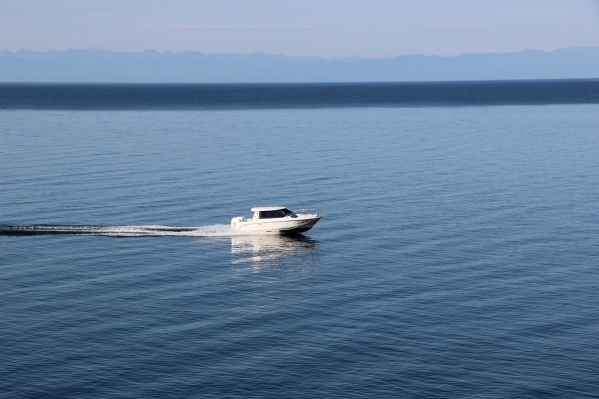 Тело выпавшего из катера пятилетнего мальчика нашли в Химках