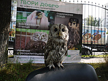 Птиц и животных представили в парке «Сокольники»