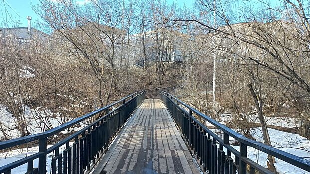 В Ижевске ищут подрядчика для содержания пешеходных мостов