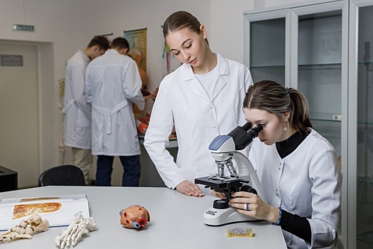 В Витебской области рассказали, как привлекают в регион молодых специалистов