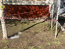 Ребенок выжил после падения из окна 12 этажа в Москве
