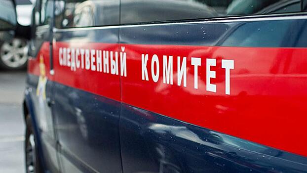 Сожитель выдумал расчленение россиянки, чтобы запутать сыщиков
