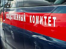Сожитель выдумал расчленение россиянки, чтобы запутать сыщиков