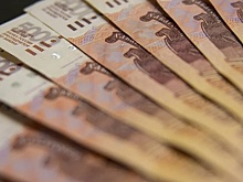 Кубанское вино впервые за 15 лет отправят на экспорт в Северную Америку