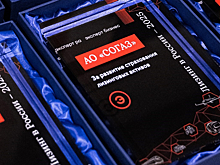 СОГАЗ отмечен наградой за вклад в развитие страхования лизинговых активов