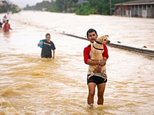 В Таиланде спасли от наводнения 1800 иностранных туристов
