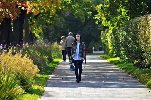 Кардиолог рассказал, как поддерживать здоровье сердца