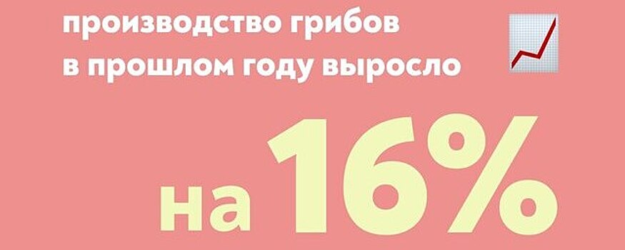 Российские производители культивируемых грибов установили очередной рекорд