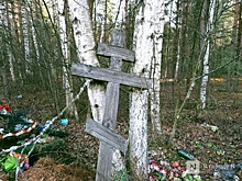 Опубликованы самые необычные отзывы на нижегородские кладбища