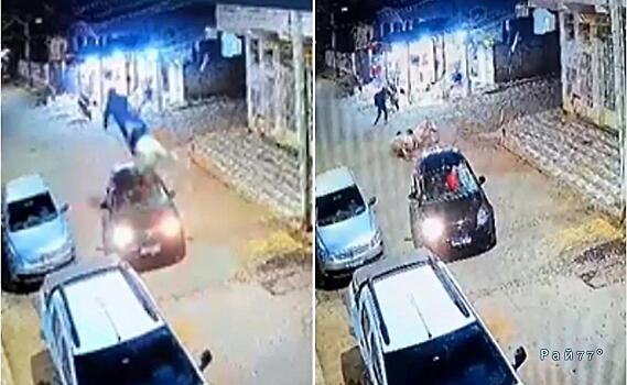 Скакун врезался в легковой автомобиль и скрылся с места инцидента