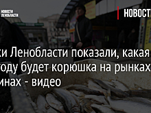Жители Зеленоградска вступились за рыбаков