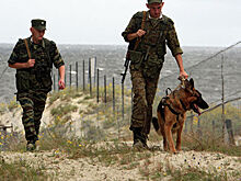 Пограничная группировка СНГ проведет первые войсковые учения в 2020 году