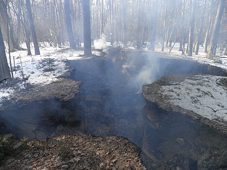 Неизвестные сожгли недавно открытый на Украине музей УПА