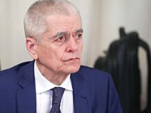 Онищенко: кибератака на «Аэрофлот» подорвет здоровье пассажиров