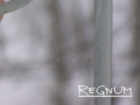 Строить новые города в Сибири экономически невыгодно &mdash; аналитик