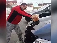 Краснодарская полиция проверяет видео, на котором мужчина "моет машину котом"