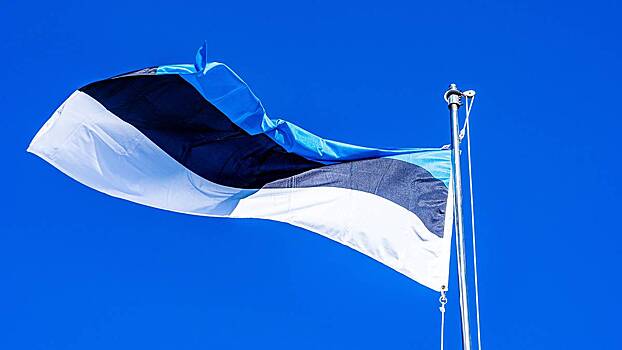 Президент Эстонии Карис: Теракт в «Крокусе» ужасает своей жестокостью