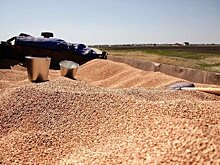 Исправительная колония №3 в Татарстане потратит на уборку урожая 600 тысяч рублей
