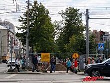 Топором по сердцу. Почему на Компросе вырубают деревья?