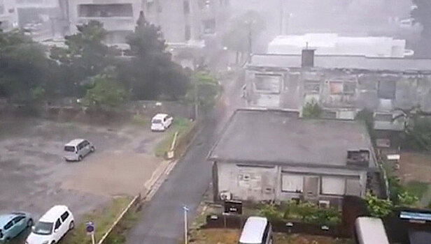 Япония приходит в себя после удара стихии
