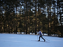 В Камышине Волгоградской области состоялись соревнования по лыжным гонкам