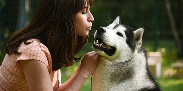 Ветеринары рекомендовали москвичам больше играть со своими собаками, гладить и обнимать их