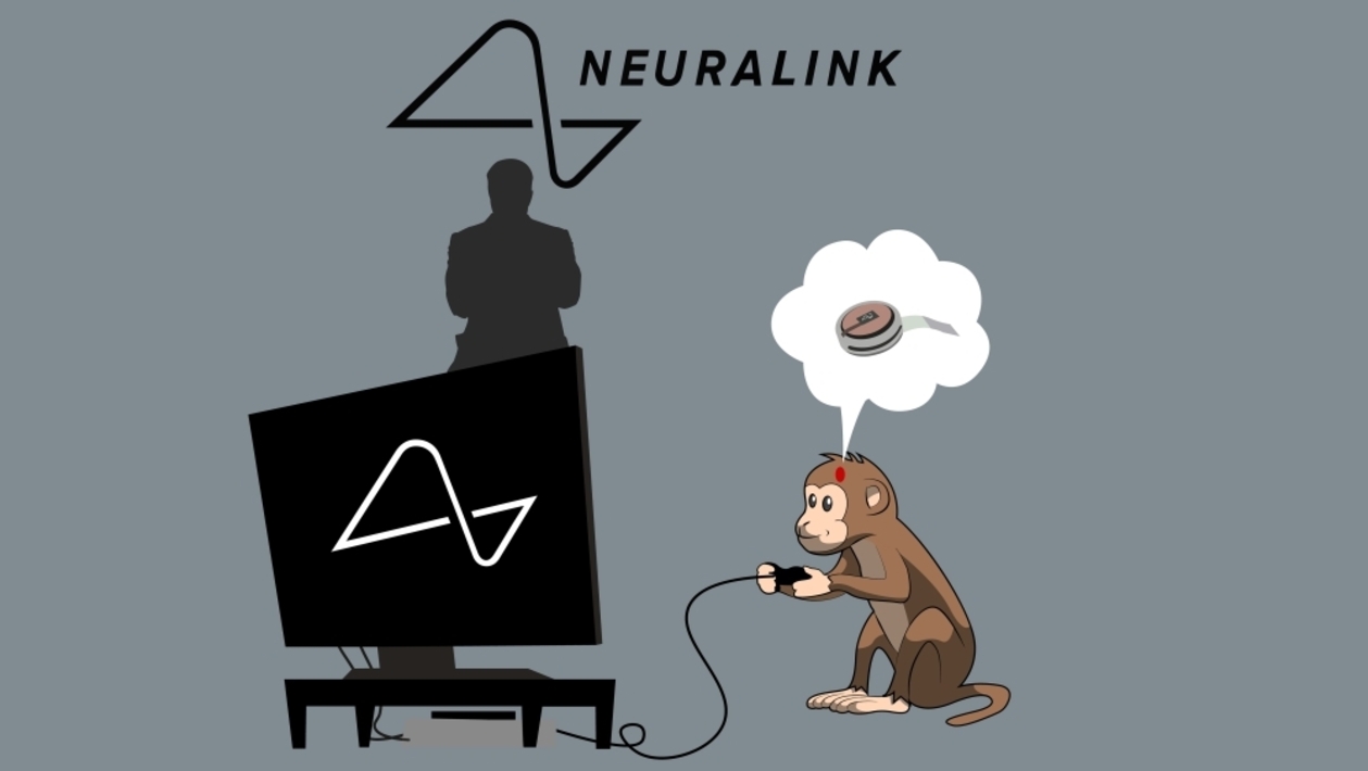 Илон маск имплант. Нейролинк обезьяна. Илон Маск обезьяна чип. Neuralink испытания на обезьяне.