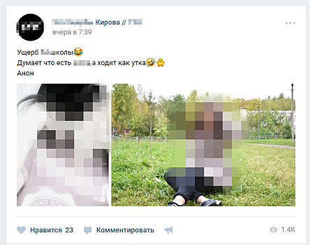 В Кировской области родители добиваются закрытия групп в соцсетях, где оскорбляют их детей