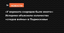 «У вермахта снарядов было много»: историки объяснили количество «следов войны» в Подмосковье