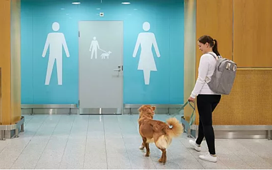 В финском аэропорту открылись туалеты для собак
