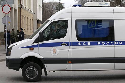 Набитую 50 килограммами наркотиков сумку перехватили в российском регионе