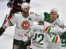 «Большая стройка началась». Болельщики «Ак Барса» подготовили баннер с Кубком Гагарина