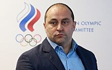 Депутат Свищев отреагировал на требования французских СМИ отобрать у Санкт-Петербурга матчи Евро-2020