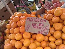 Эксперт: Мраморный клоп не повлияет на цену «абхазских мандаринов»